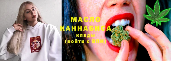 индика Горняк