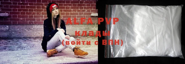 индика Горняк