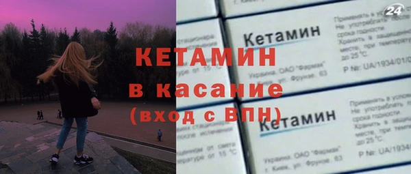 индика Горняк