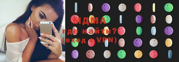 индика Горняк