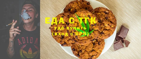 индика Горняк