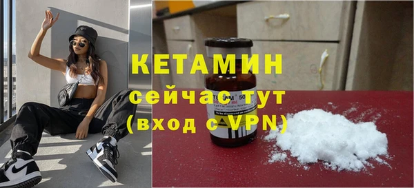 индика Горняк