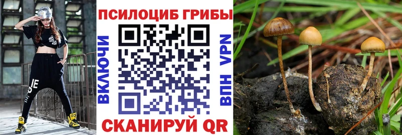Галлюциногенные грибы GOLDEN TEACHER omg ONION Чудово